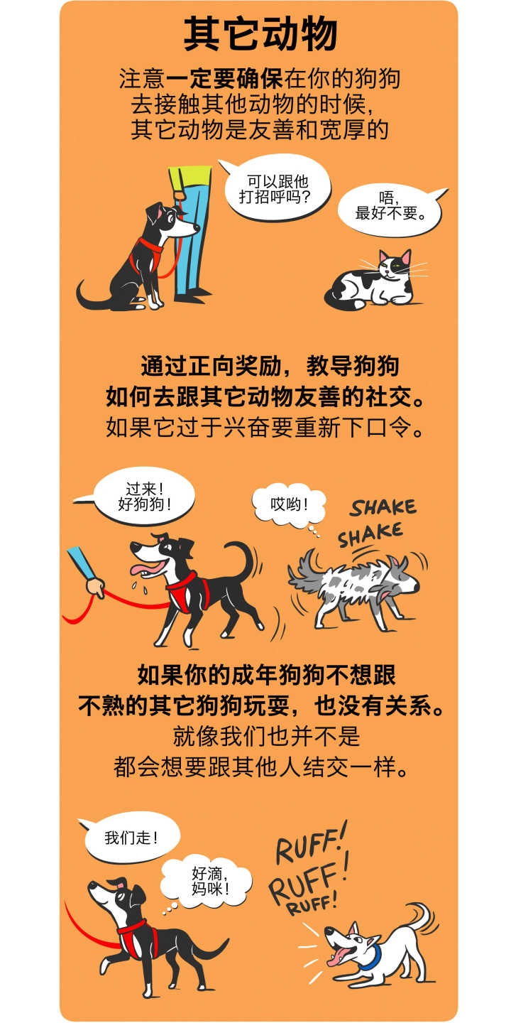 道格队长养宠物,道格队长宠物