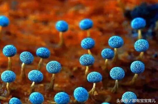 孕期用药有讲究请遵循这4个原则,孕期用药了但产检都正常