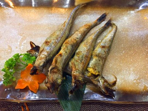 这种鱼一直都在“姐弟恋”，日本人捕捞它却不是为了吃鱼肉