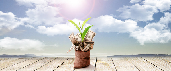 加币怎样在手机上兑换人民币,收藏人民币兑换