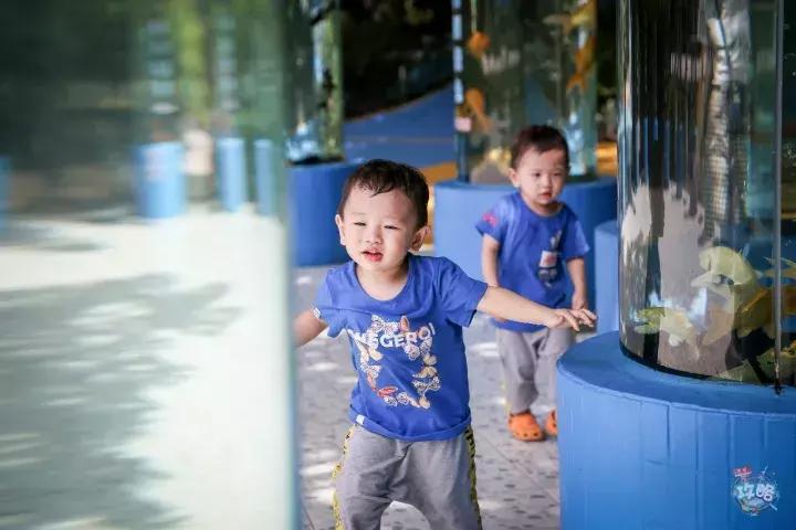 广州动物园的地图,广州动物园下一站去哪里