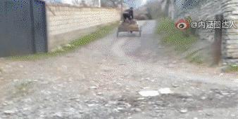 王源青春旅社在哪里,王源录制青春旅社