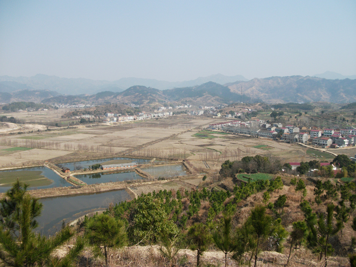 农村散文推荐经典,乡村散文黄土地