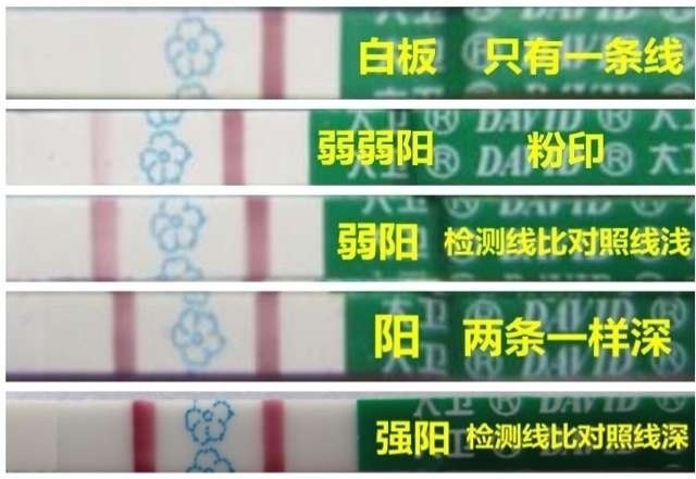 备孕期间怎么判断卵巢排卵,备孕期间如何预测排卵期