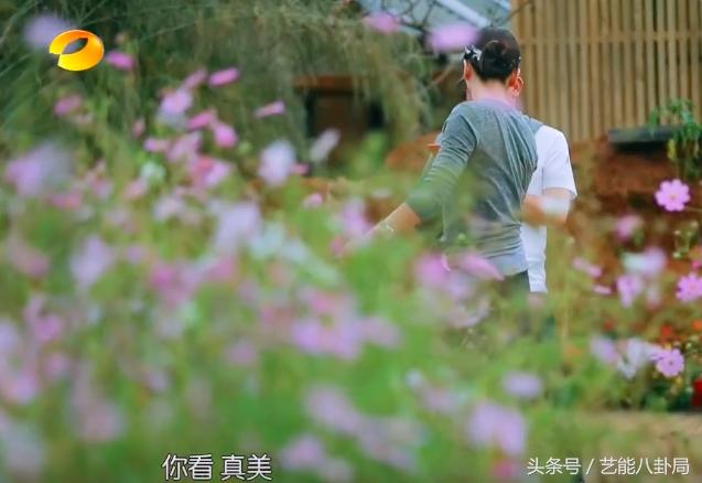 刘涛王珂娱乐八卦,刘涛王珂秀恩爱羡煞众人