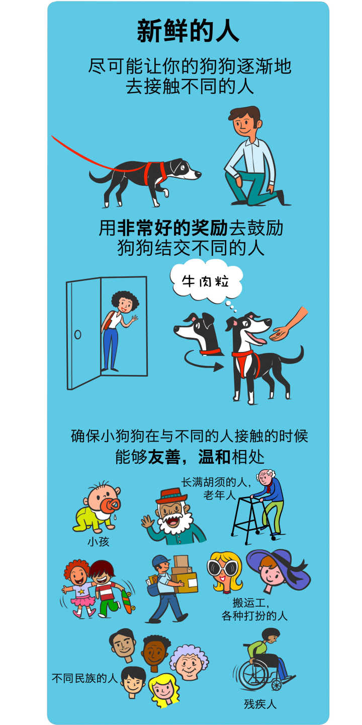 道格队长养宠物,道格队长宠物