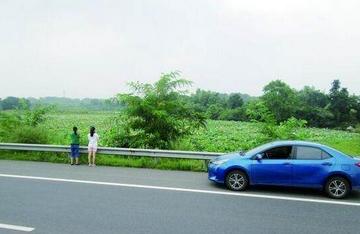 女司机开奥迪1小时就跑30多公里,女司机高速上开奥迪