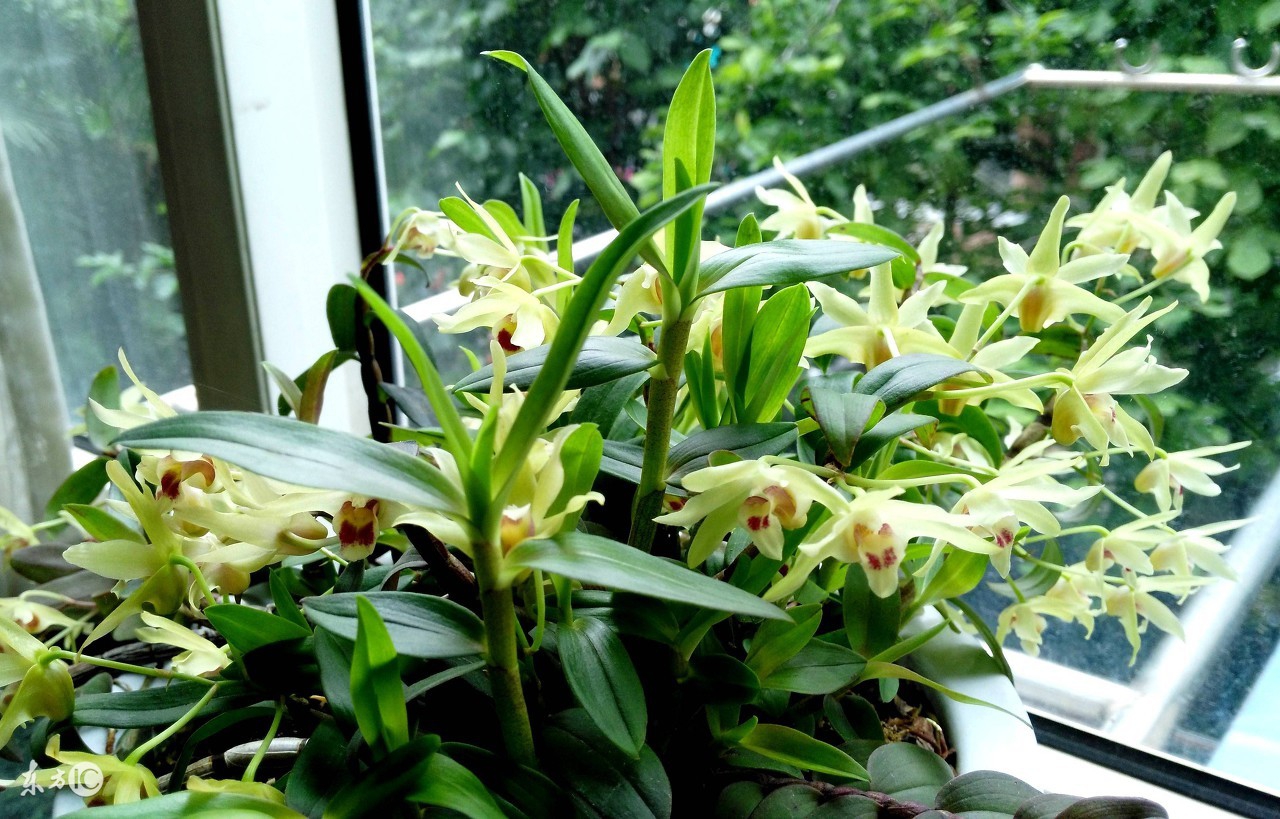 不同节日送的花束,不同节日应该送什么花