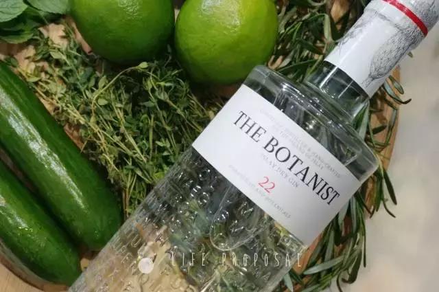 「微微8醺」vol.6|是金酒代表了人,还是人喝出了金酒的优雅?