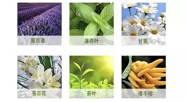 sk-ii神仙水值得买吗,sk-ii神仙水低价