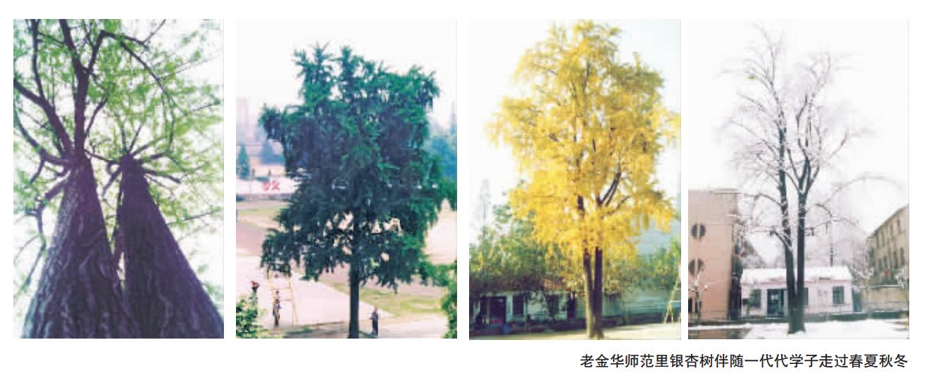 一所学校与一个城市的百年情缘写在金师110年诞辰之际