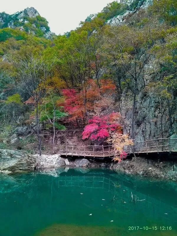 新鲜出炉~赏枫HOT！百名摄影家齐聚庄河天门山