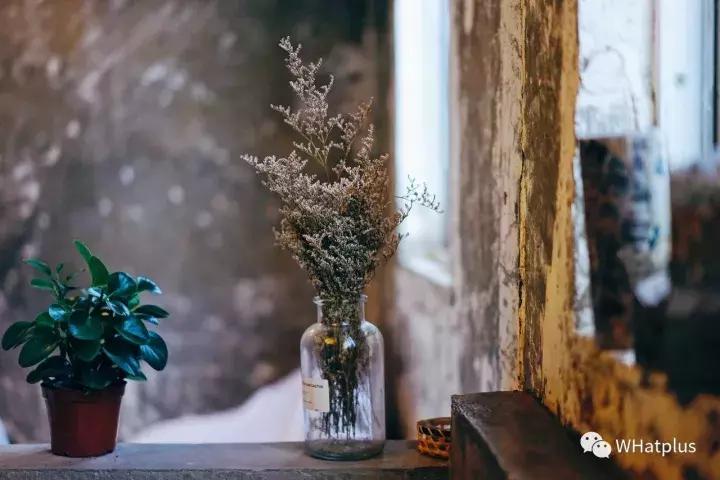 武汉最不好吃的几家店,武汉十大必吃馆子探店