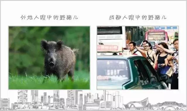 外地人眼中的重庆vs本地人,外人眼中的成都和真正的成都