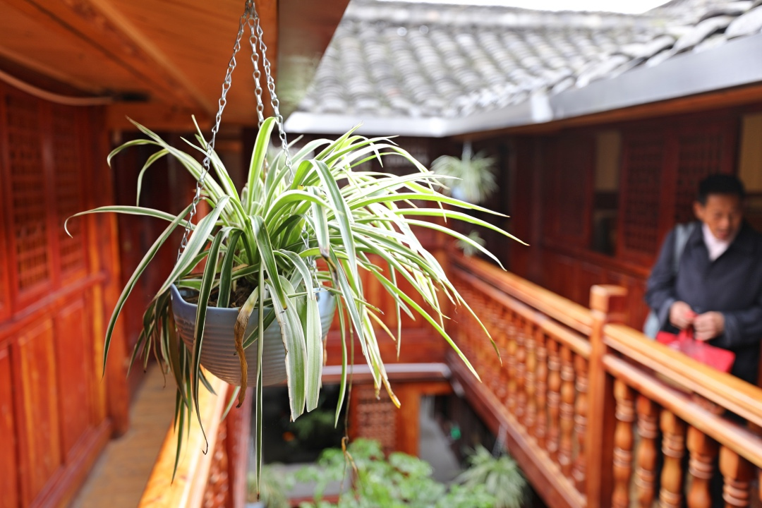 阆中10元一晚的住宿,阆中古城比较实惠的住宿