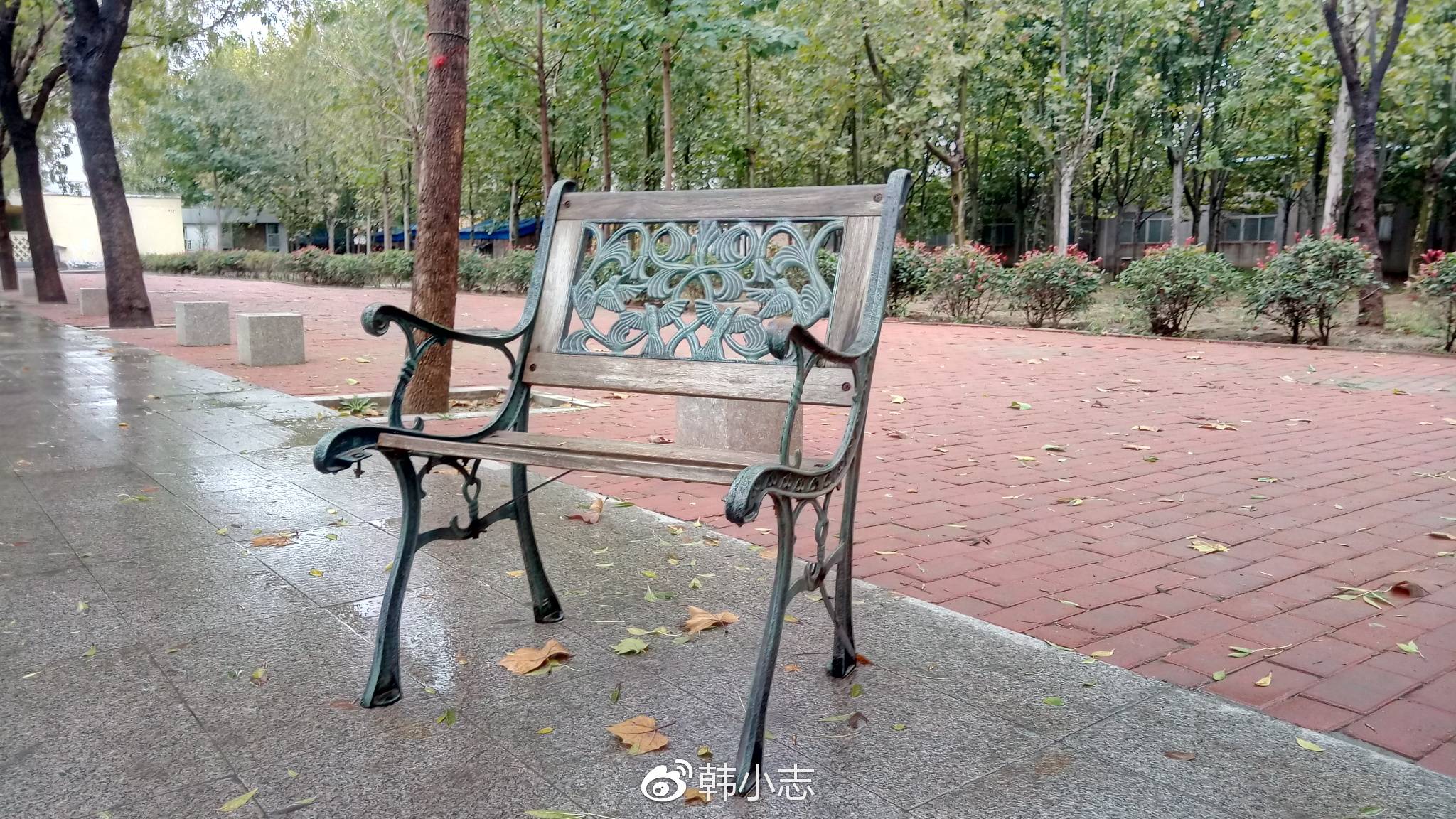 魅蓝6手机体验评测,魅蓝6为什么比旗舰机好