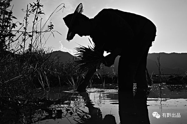 贵州种田生活视频,贵州辛苦农民