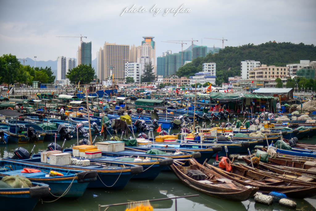 大亚湾亲子嗨玩攻略,大亚湾怎么玩一日游