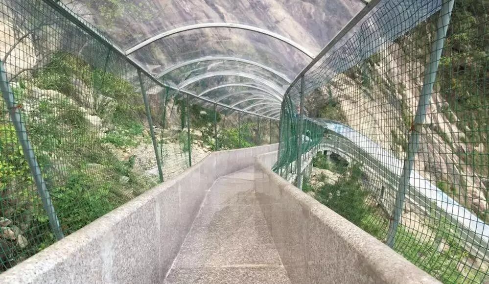 新鲜出炉~赏枫HOT！百名摄影家齐聚庄河天门山