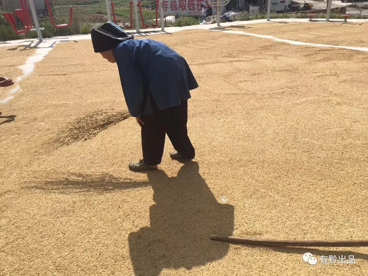 贵州种田生活视频,贵州辛苦农民