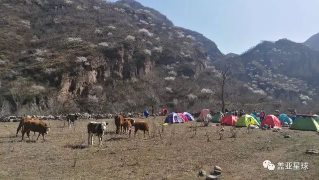 活动|有情怀的活动之-LNT工作坊