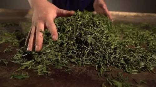 宇治抹茶为什么这么好,日本宇治抹茶