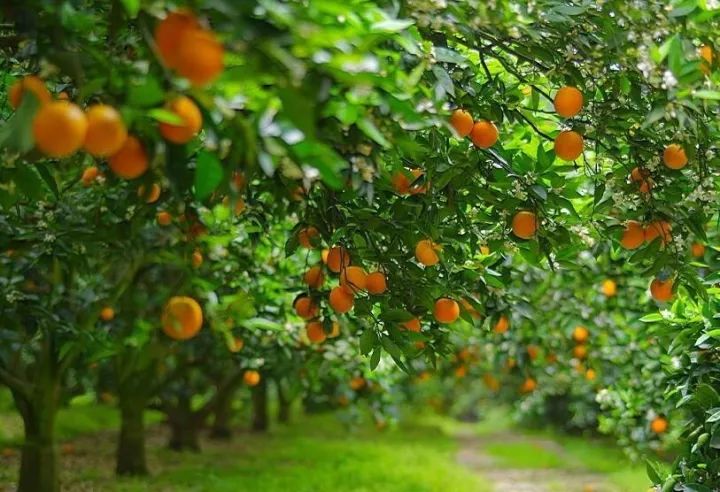 赶紧扩散！派森百有了首家线*体下**验店！