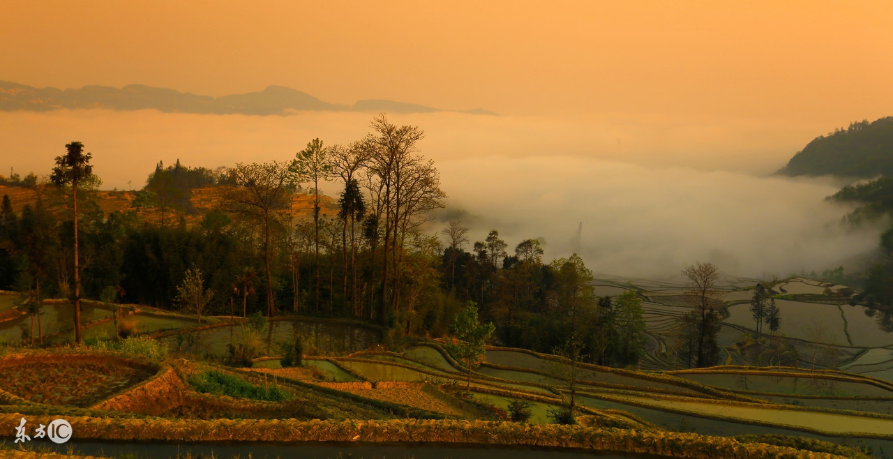 元阳哈尼梯田惊艳世界,元阳梯田哪几个景区最值得看一下