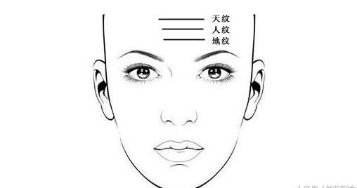清风面相,面相看额头上的纹路预示什么