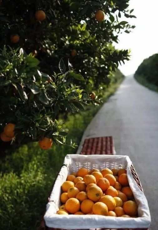 赶紧扩散！派森百有了首家线*体下**验店！