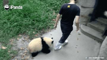 据说只要看到这双“雪地靴”，姑娘们都会挪不动脚！