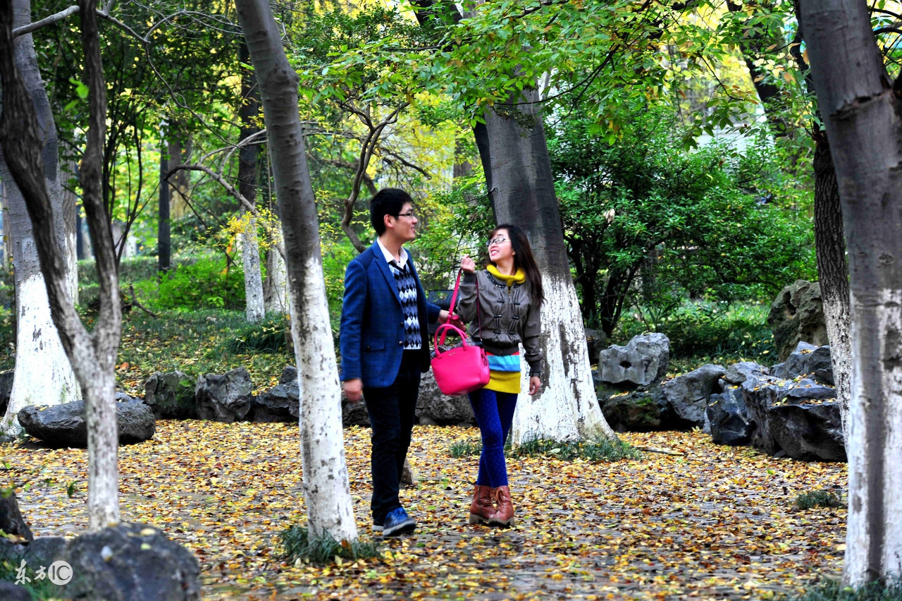 淘宝不开直通车是怎么做才有流量,淘宝开直通车怎么带动免费流量