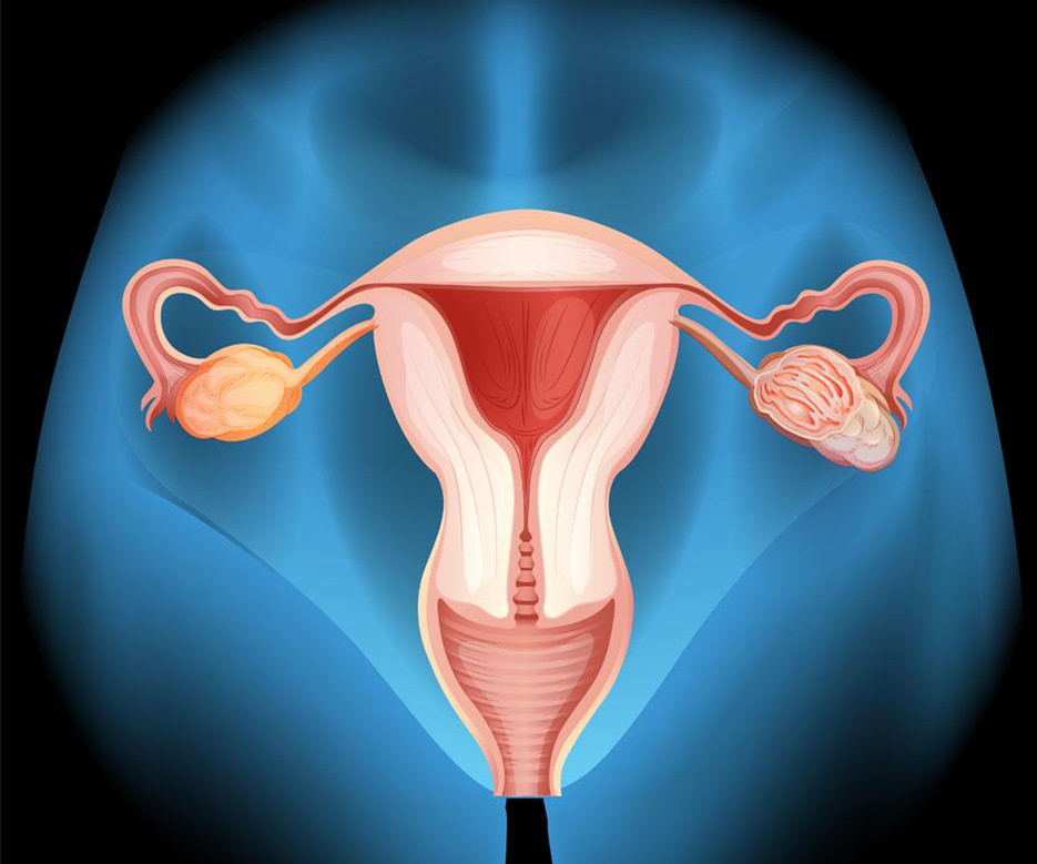 产后妈妈容易子宫脱垂？到底如何避免？