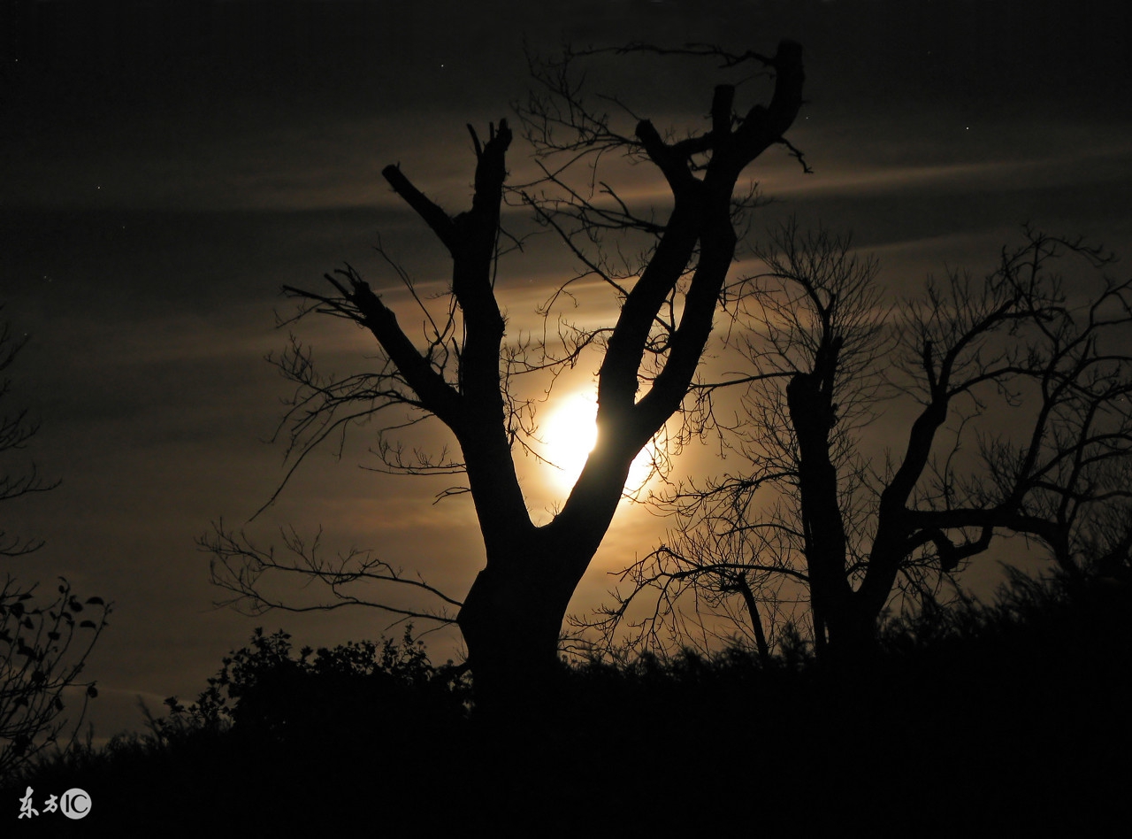 戒掉毒瘾的最好方法,毒瘾可以彻底戒掉吗