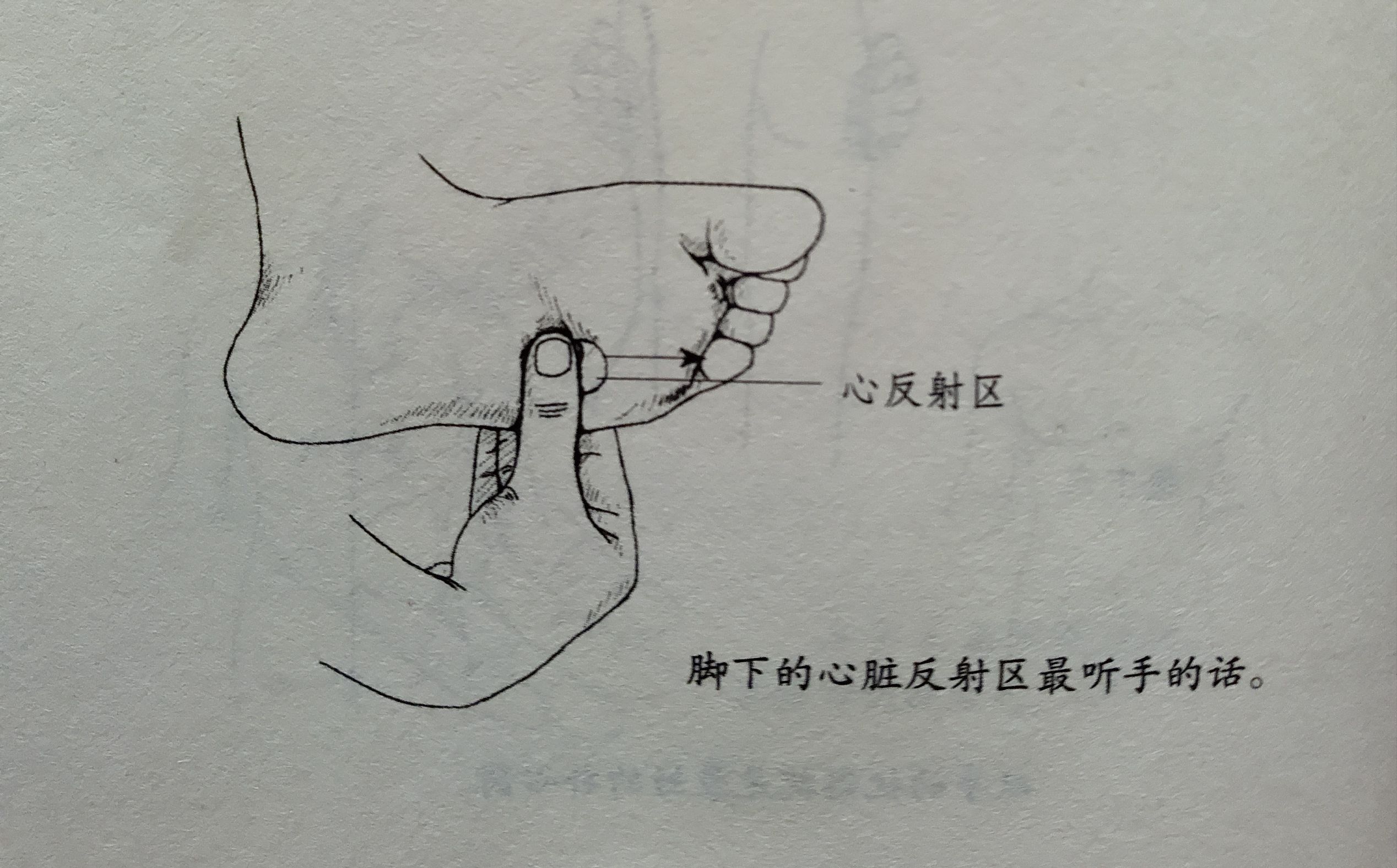 修什么法门让家庭安宁祥和,修得自在极意功