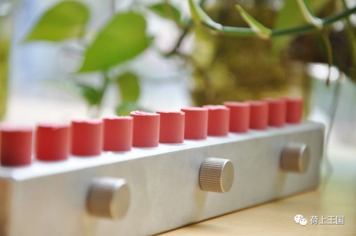 顶级植物油+进口SunChemical植物色粉，用心手作安全滋润口红