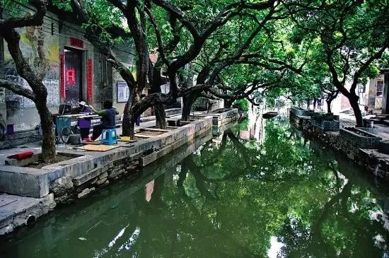 美得不像样子!广州秋季“花潮”来袭,你最想和谁一起看