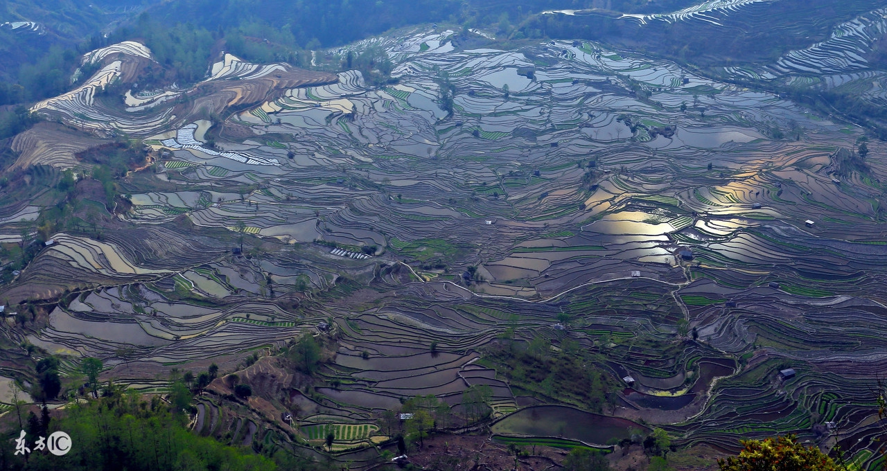 元阳哈尼梯田惊艳世界,元阳梯田哪几个景区最值得看一下