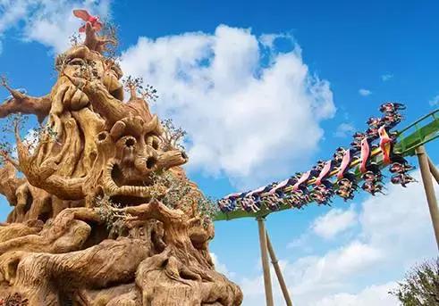 比游乐场的项目还要刺激吧,马戏酒店杂技房和魔术房区别