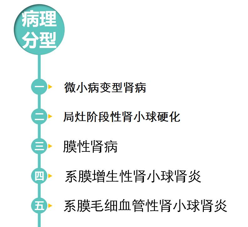 肾病综合征的诊断标准,膜性肾病的诊断和病理分型