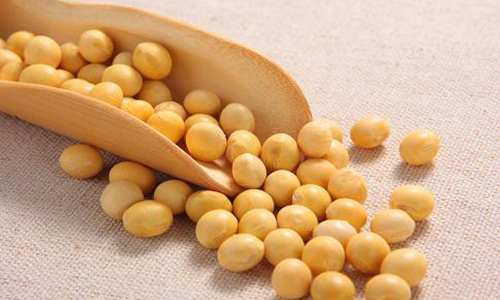 东北七大特产，哪一个才是你心中的NO.1