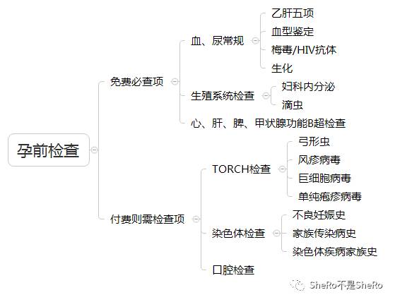 孕妈必备,产检时间表检查内容