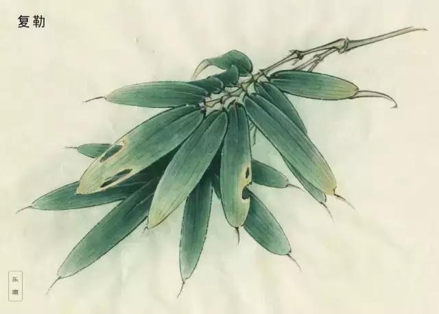 工笔知识入门,工笔的十八种技法