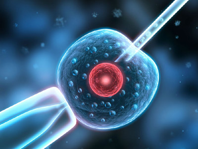 如何做排骨蒸面,如何做排气操