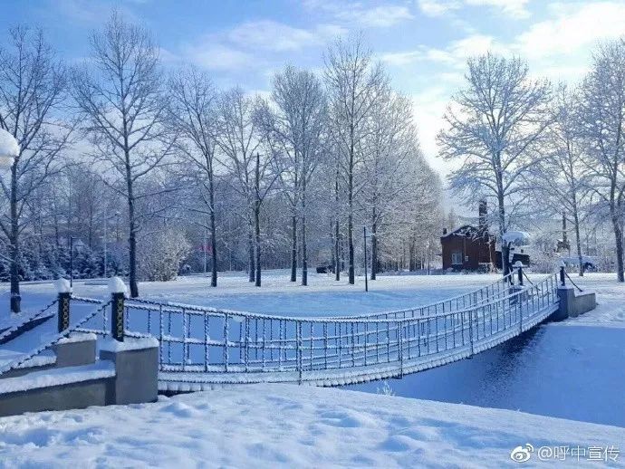 对不起我要去学校了模板,对不起我要去天津了