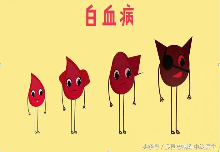 白血病康复案例,白血病病人痊愈后的总结