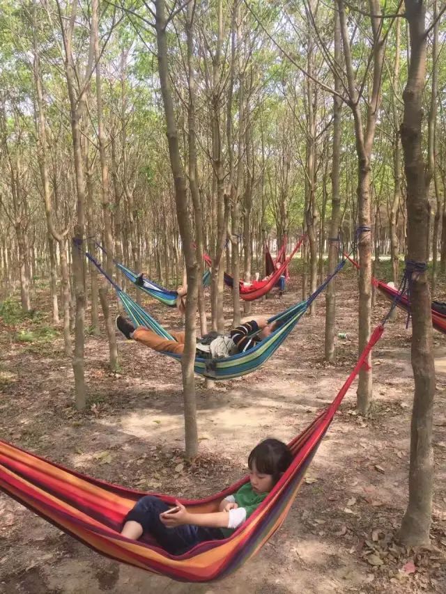 双十一光棍节活动主题,双十一光棍节图集