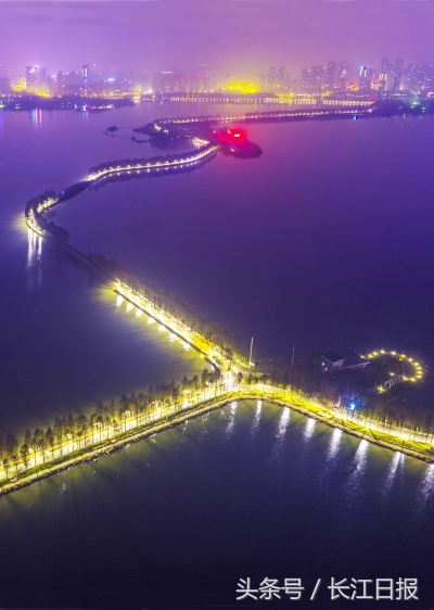 东湖绿道水杉图,东湖绿道夏天水杉