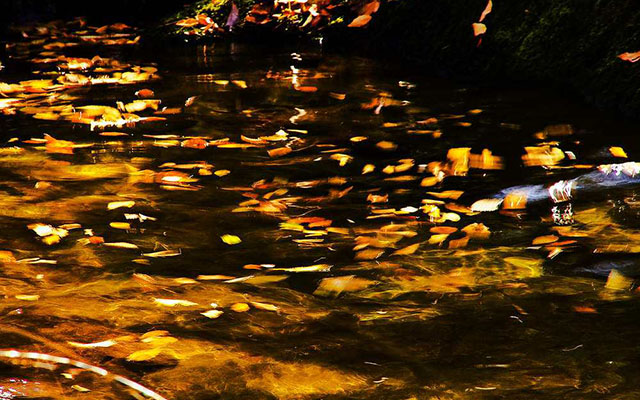 庄子人事篇,庄子人生的根本是如何与自己相处