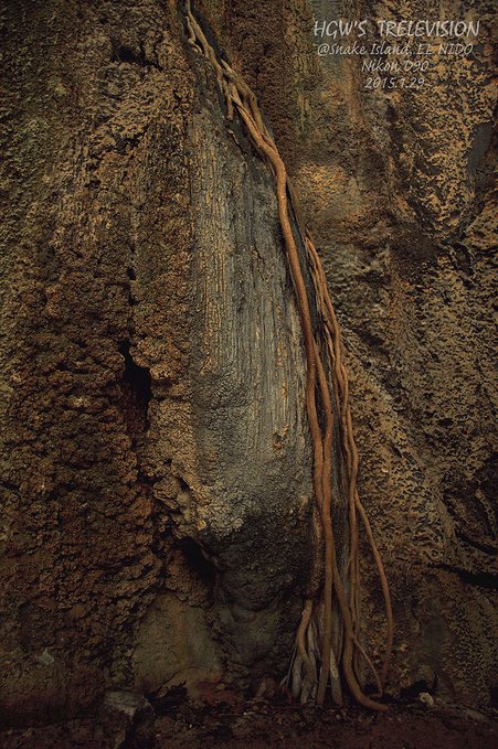 阳光，假日，海滩，带你深度游巴拉望上